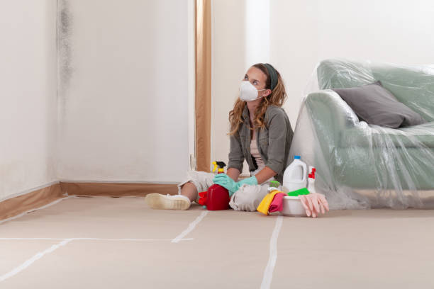 Reliable Attic Mold Removal contractor in Lake Worth, TX by WQB Mold Removal